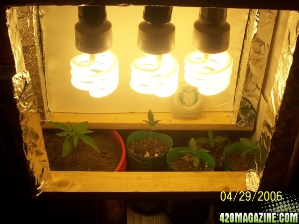 420am&pm's grow