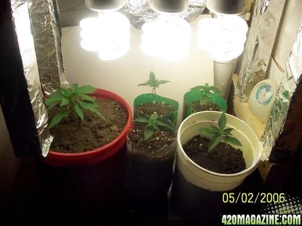 420am&pm's grow