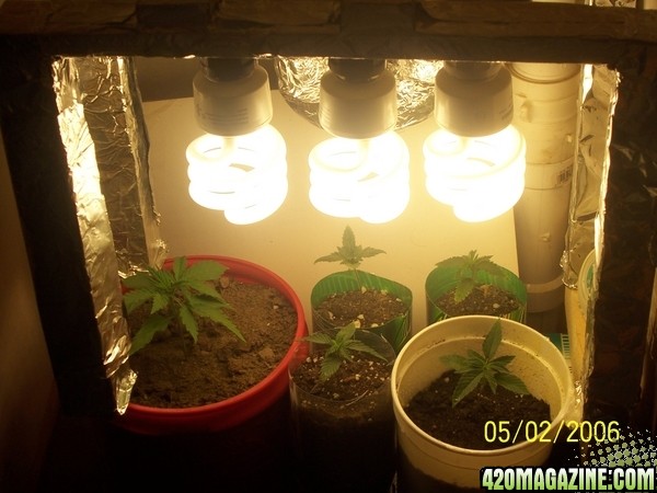 420am&pm's grow