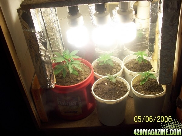 420am&pm's grow