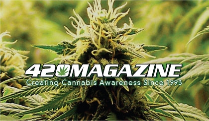 420magazinebanner008.jpg