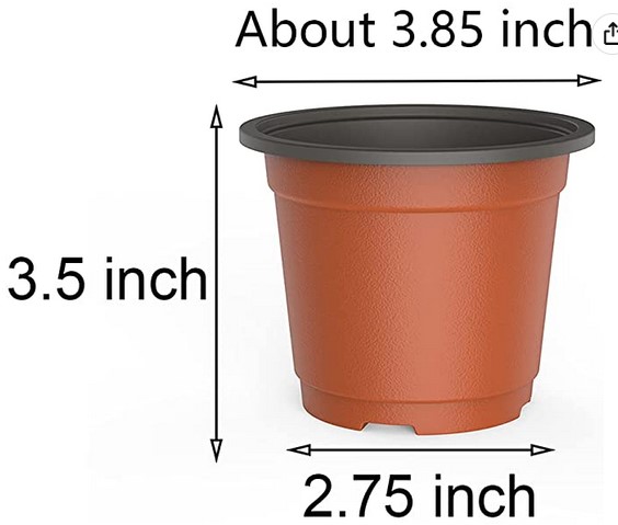 4in nursery pot.jpg