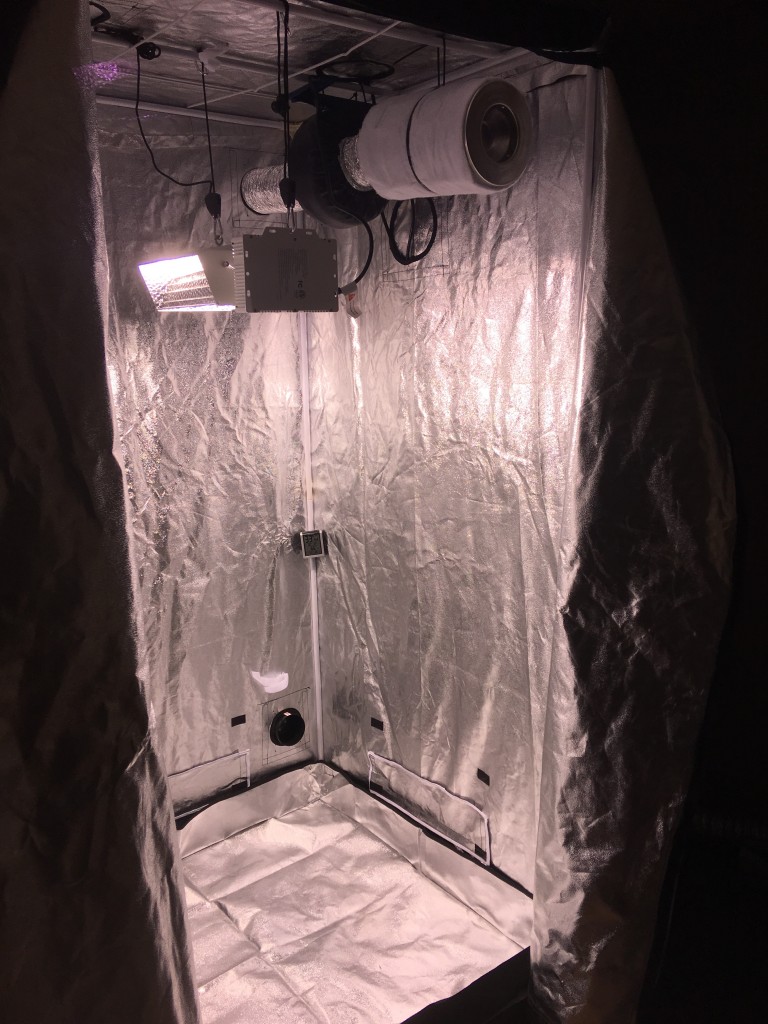 4x4 315w tent setup