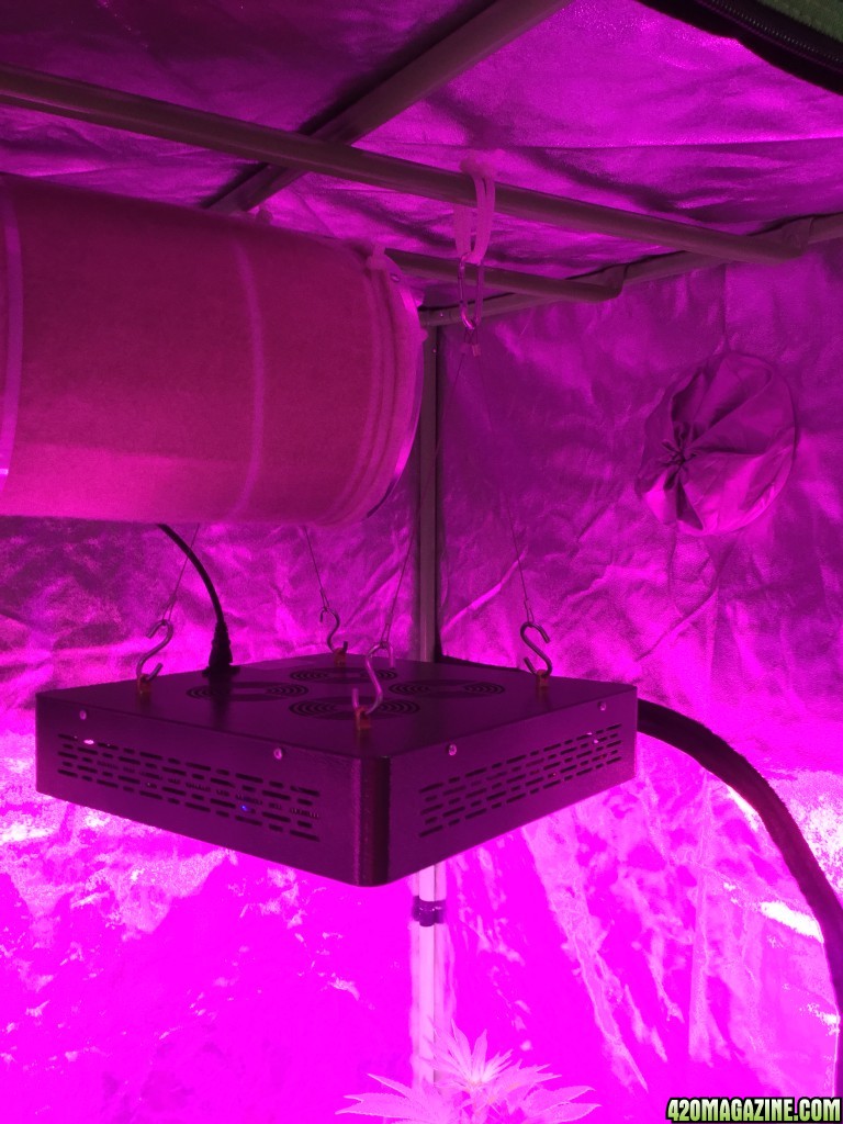 4x4 Fusion Hut w/900 Watt Mars II Hydro LED