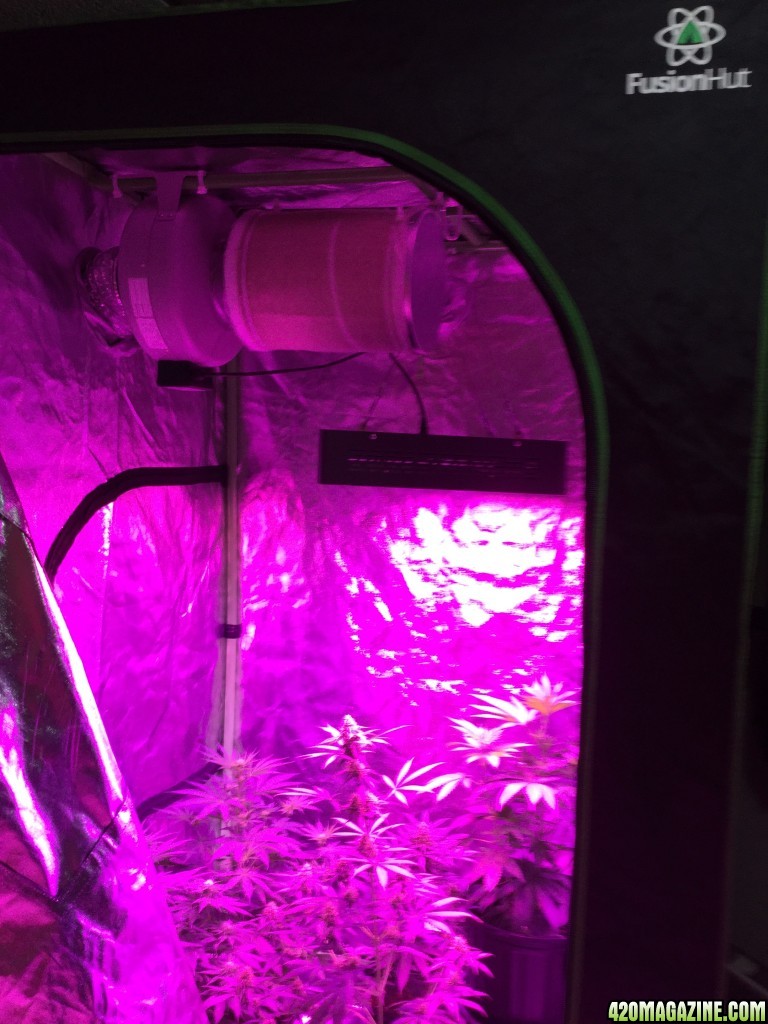 4x4 Fusion Hut w/900 Watt Mars II Hydro LED