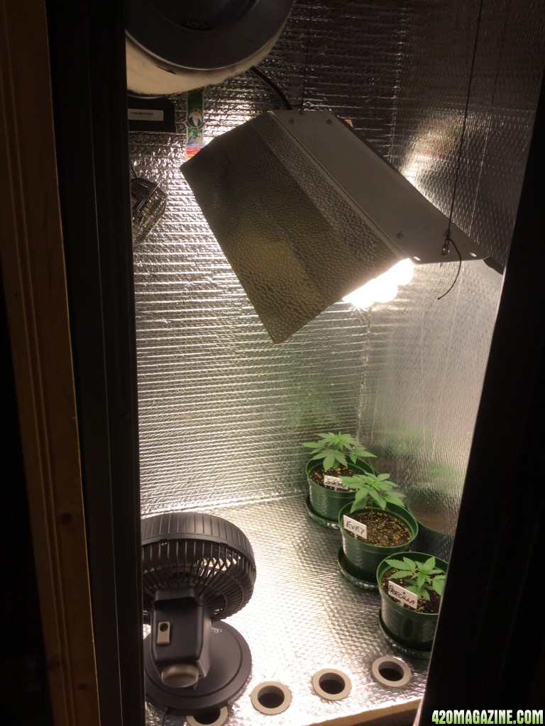 4x4 Fusion Hut w/900 Watt Mars II Hydro LED