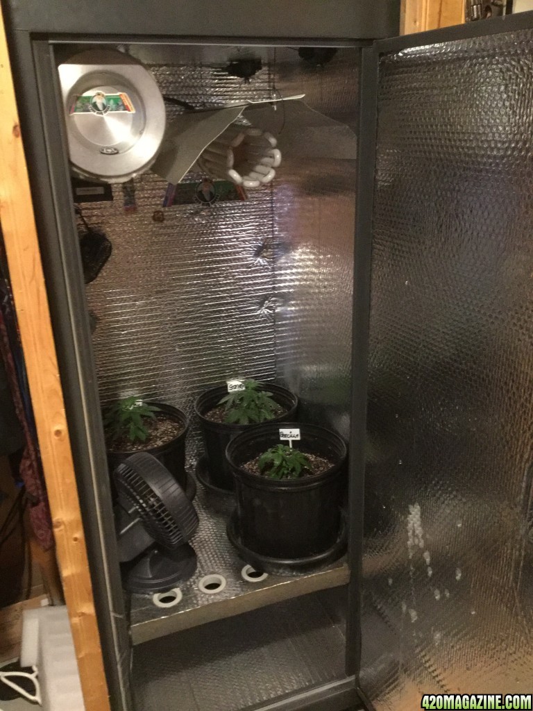 4x4 Fusion Hut w/900 Watt Mars II Hydro LED