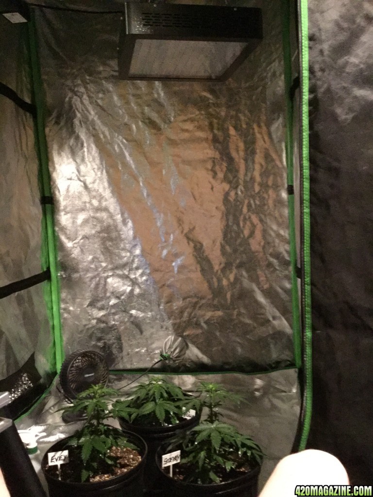 4x4 FusionHut w/Mars II Hydro 900 watt LED