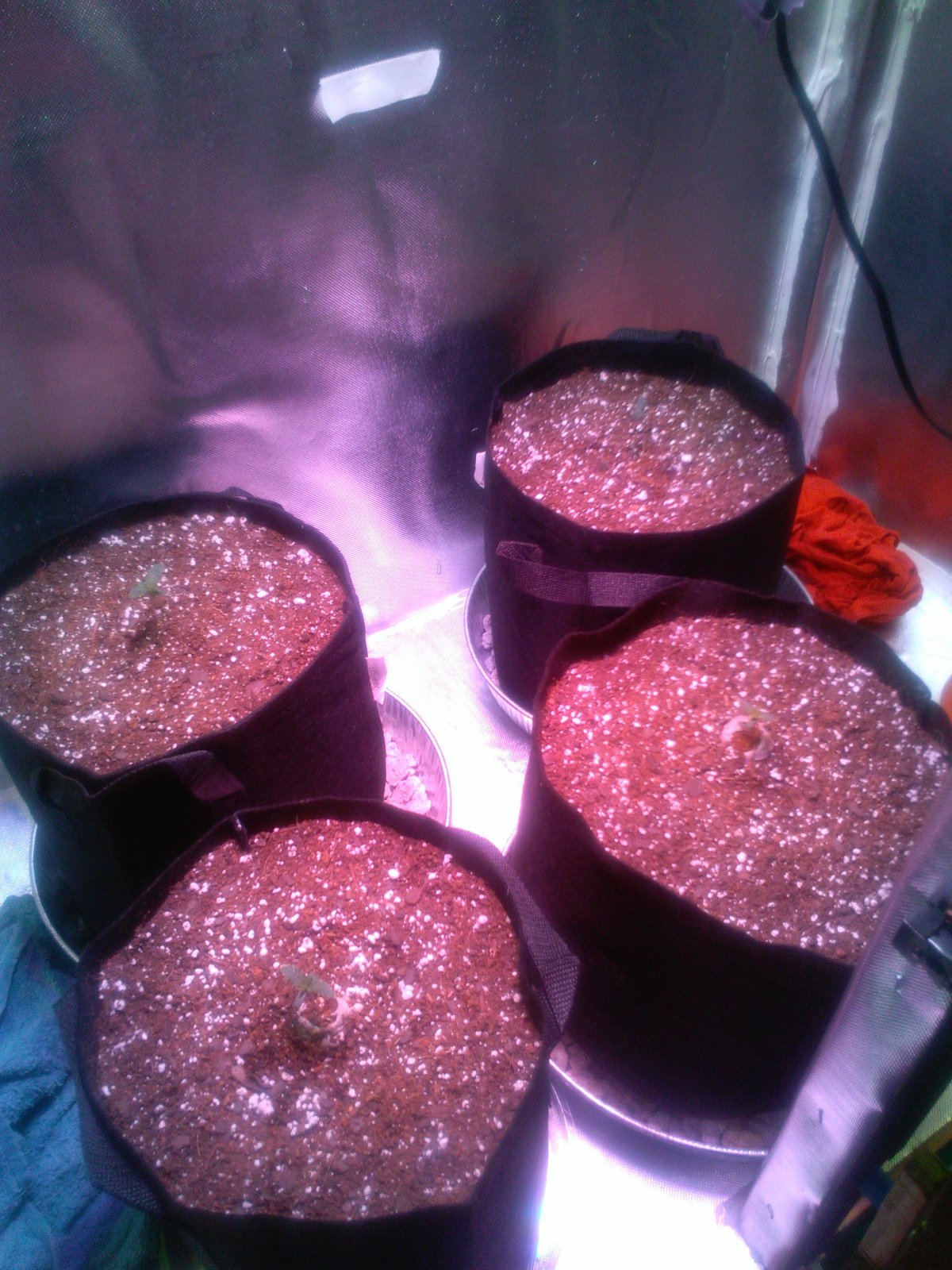 5 Day Autos 3-24-21.JPG