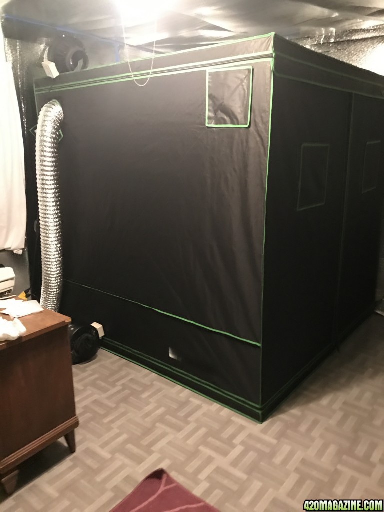 6.5x6.5x6.5 grow tent, two 600w lights