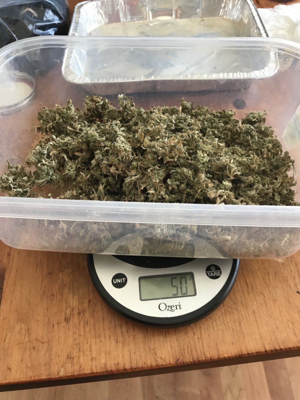 7-Jack Herer (Jen) Yield.jpeg