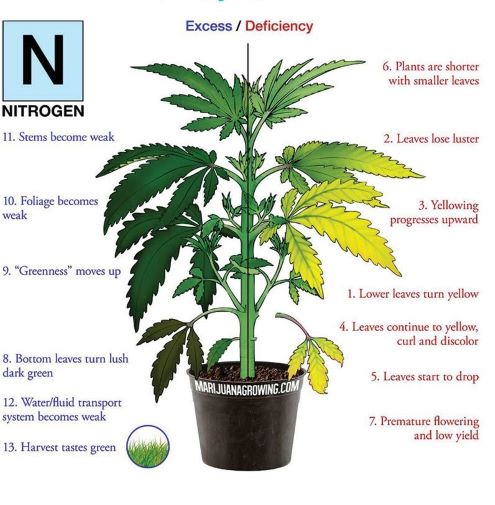 7) nutrient chart N only.jpg