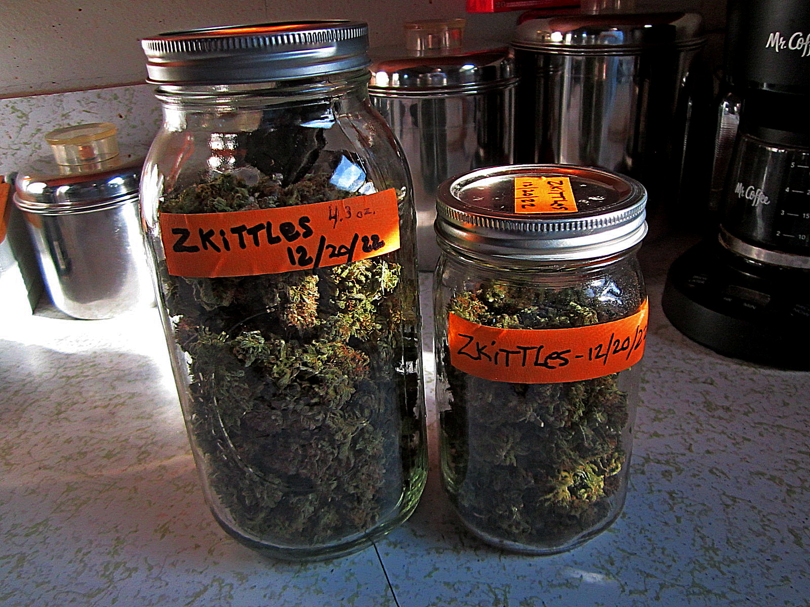 7-ZK-3 in the jars.jpg