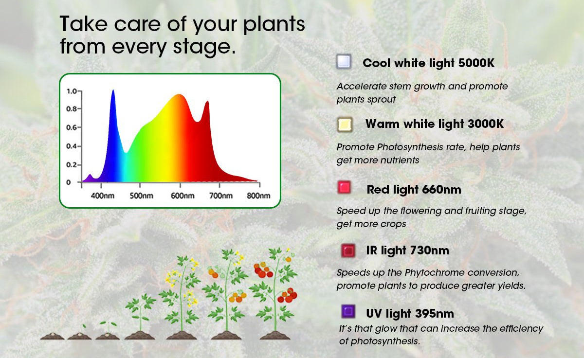 840W-LED-GROW-LIGHT_full-Spectrum.jpg