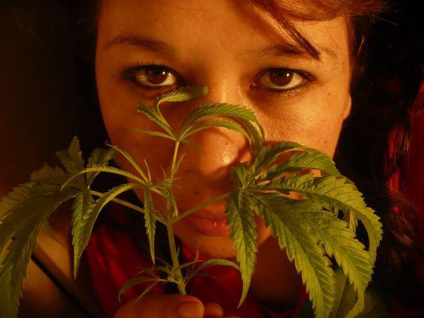 A Girl Smelling Hemp