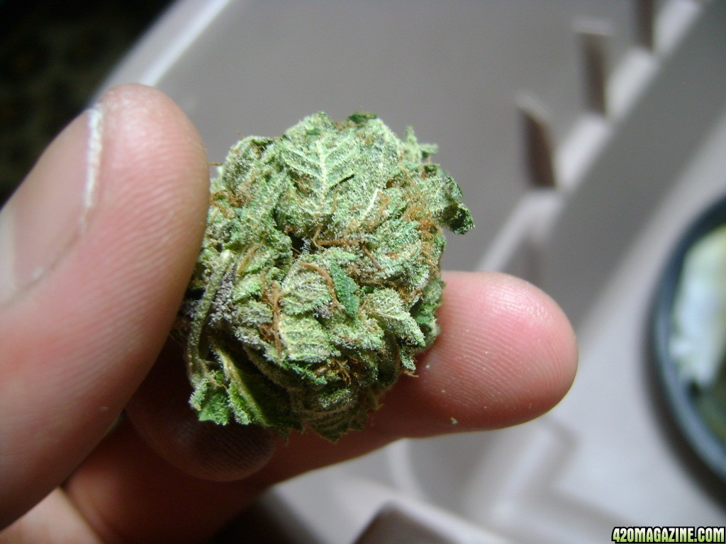 A Nug of Rk