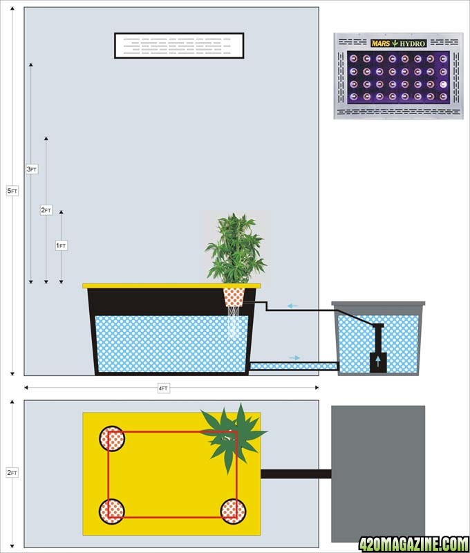 A RDWC plan