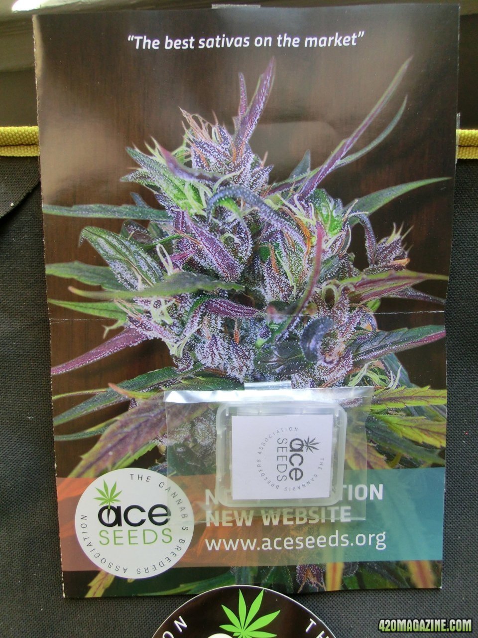 Ace Seeds