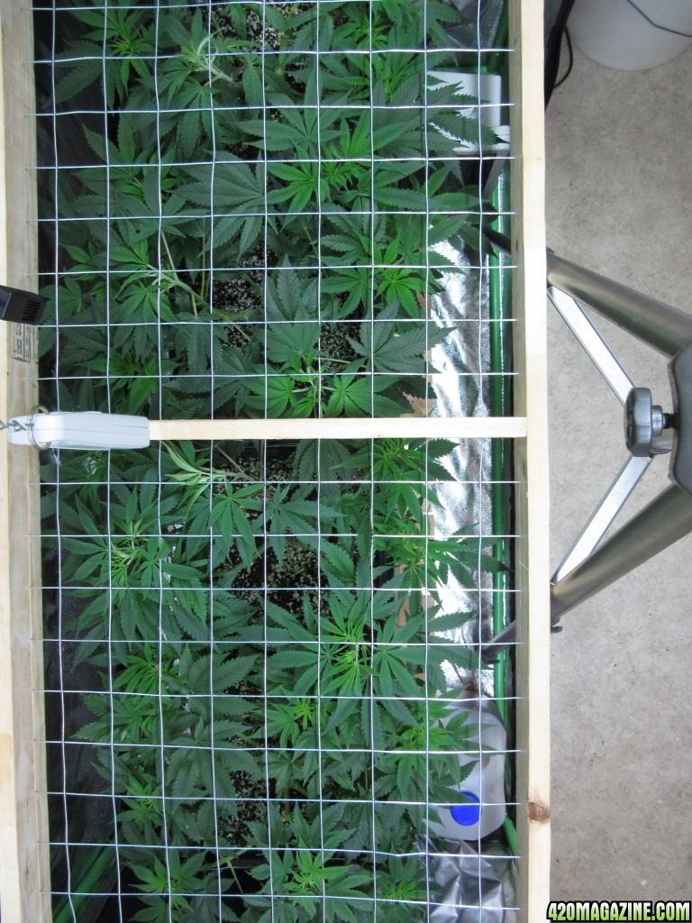 Adjustable Grow-Through Screen