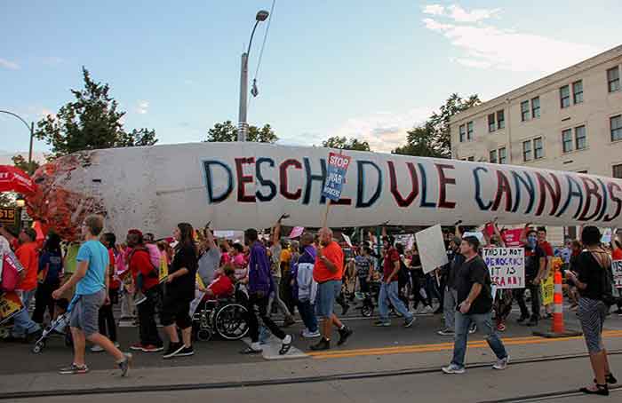 Advocates In Missouri - DANNY WICENTOWSKI