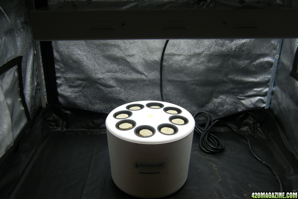 aeroponic cloner