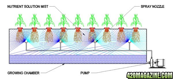 Aeroponic