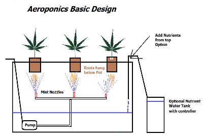 Aeroponic