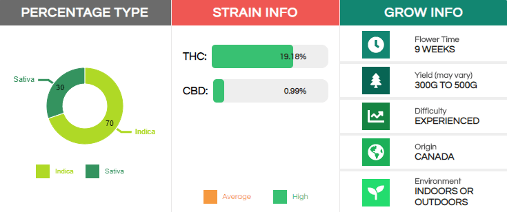 afghani-strain-info.png