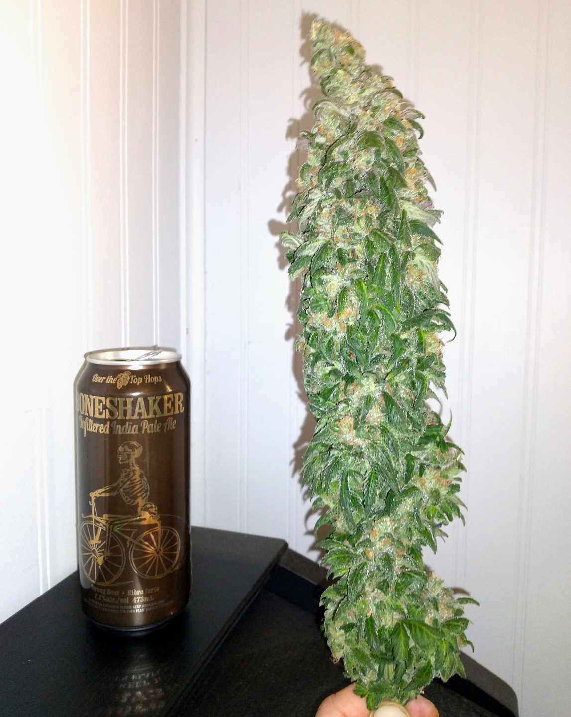 AfghaniKush Harvest 015.jpg