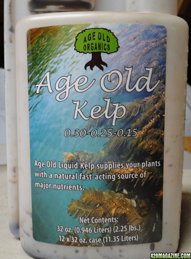 Age_Old_Kelp