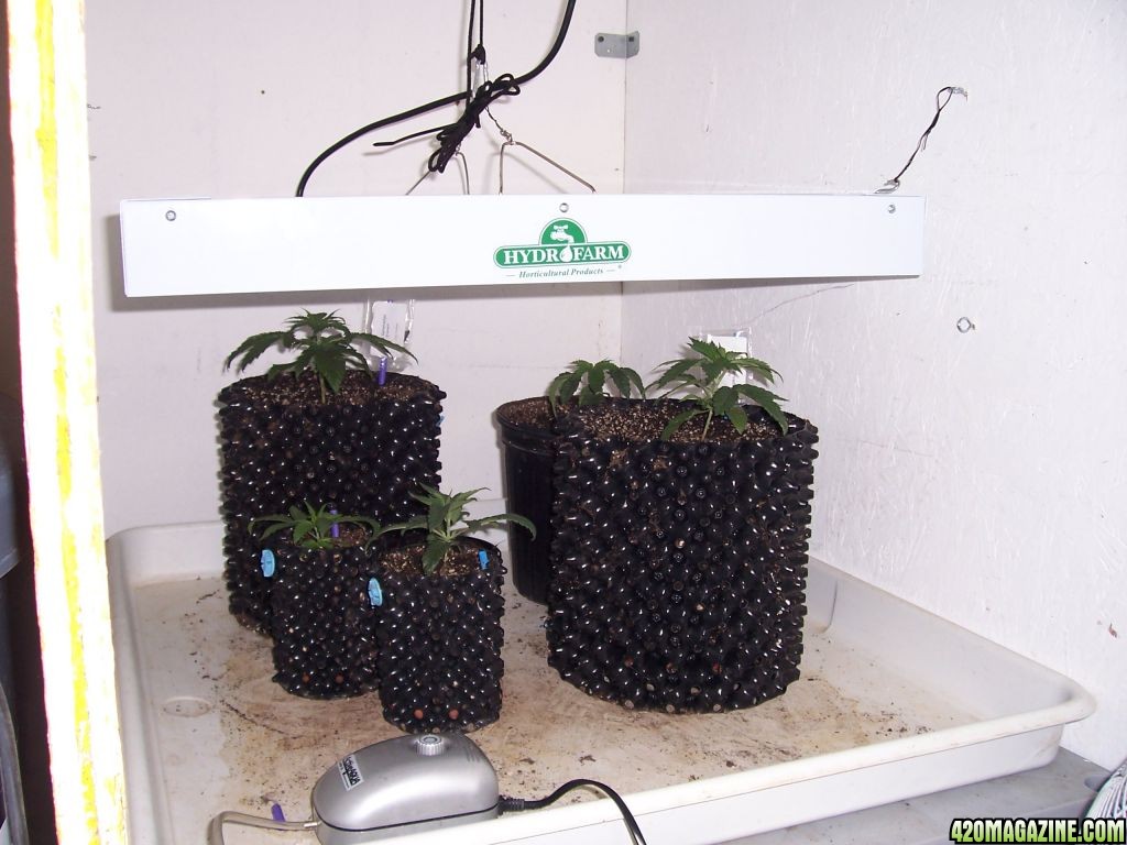 Air Pot Nursery