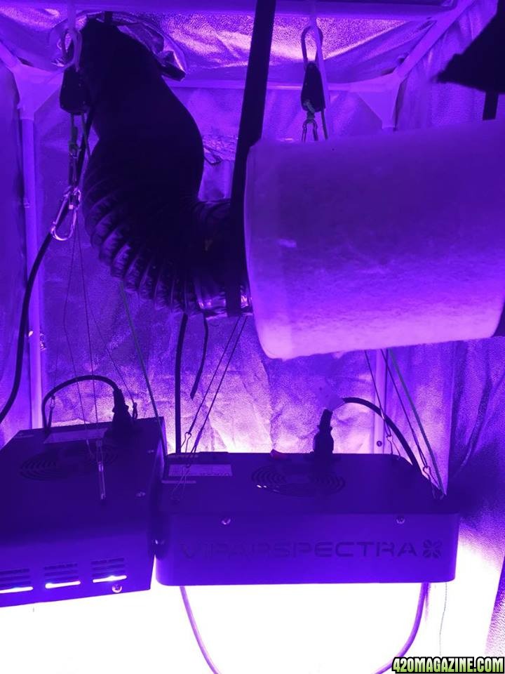 Airflow Grow