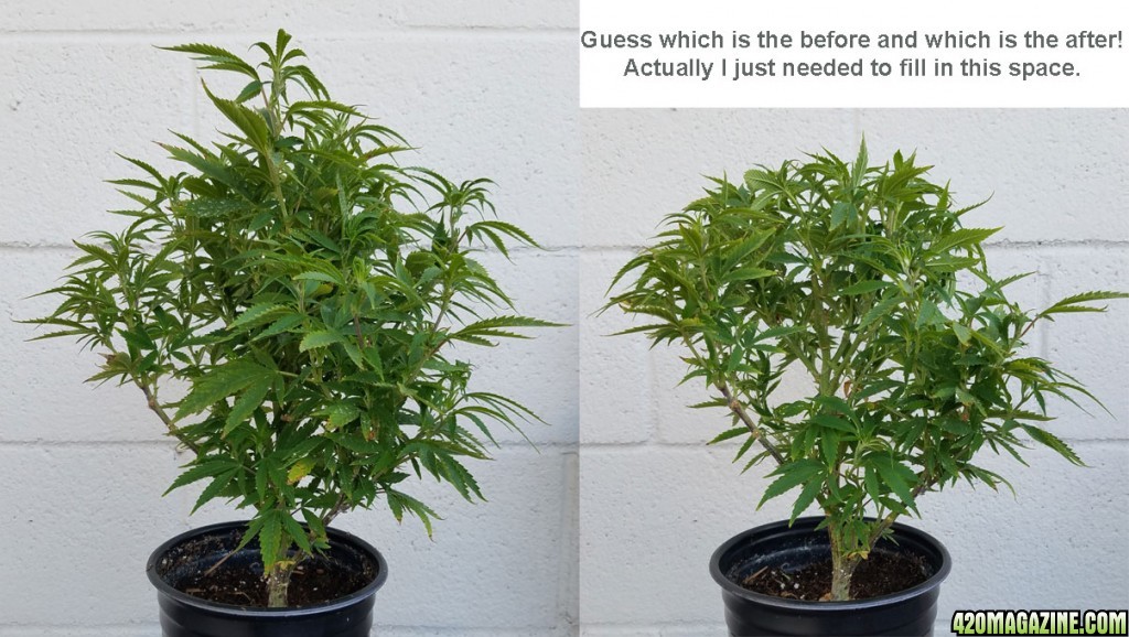 AK-47 before and after