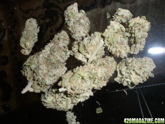 AK 47