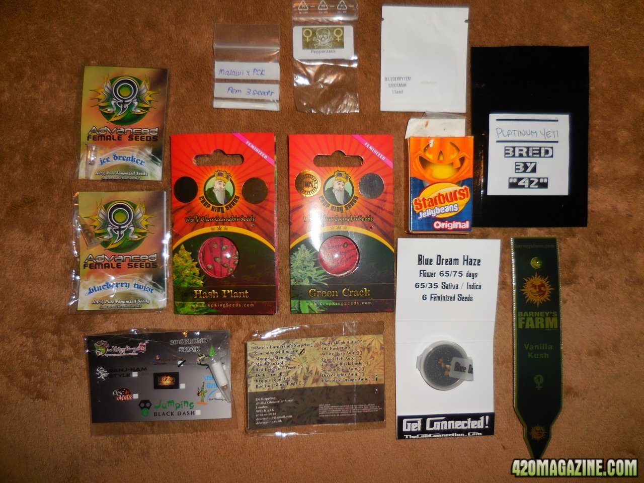 all my seeds!! 003.jpg