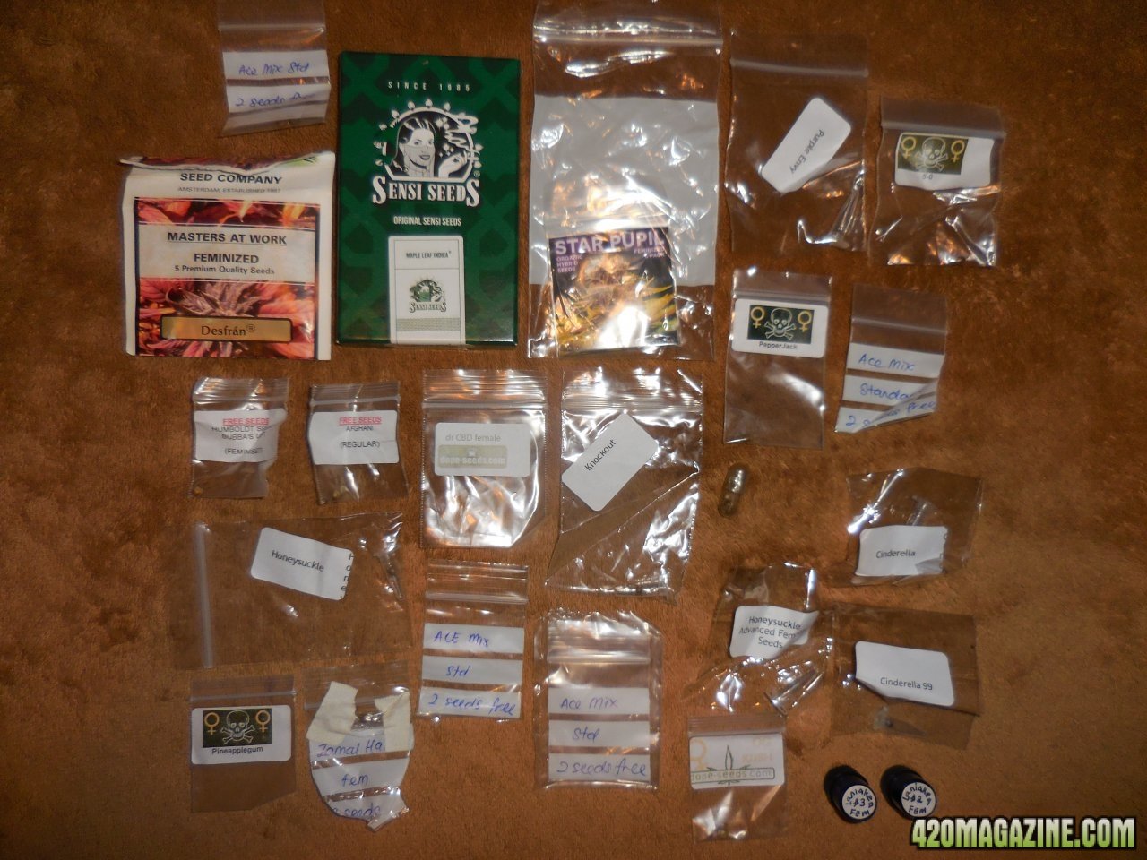 all my seeds!! 004.jpg