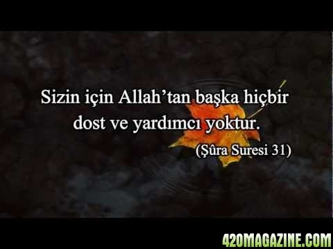 allah-tan-baska-hicbir-dost-ve-yardimci-yoktur_559870_m