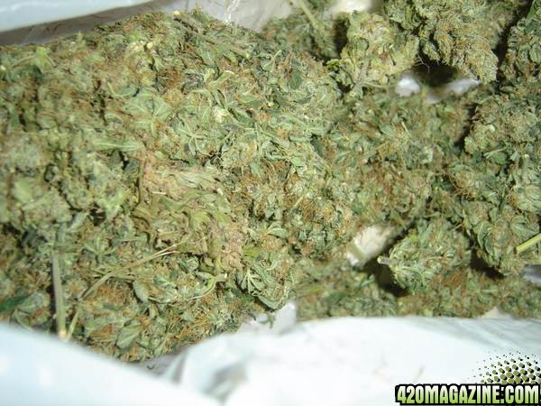 alot of bud