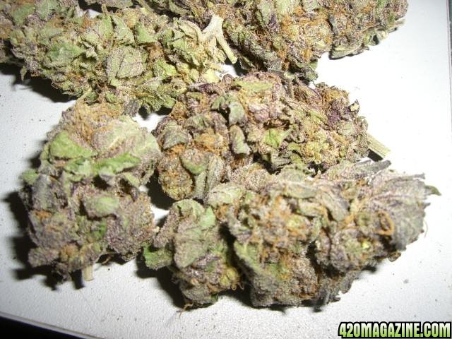 Amazing Purps