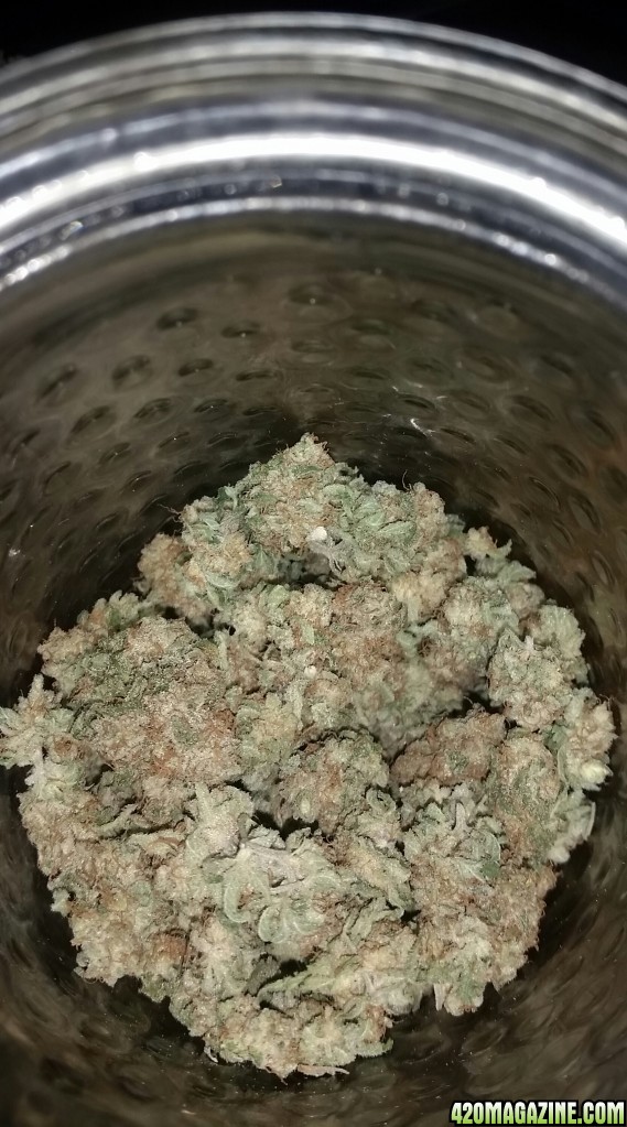 Amherst Sour Diesel