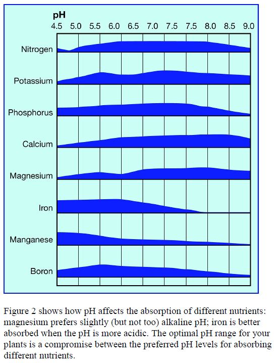 AN ph chart