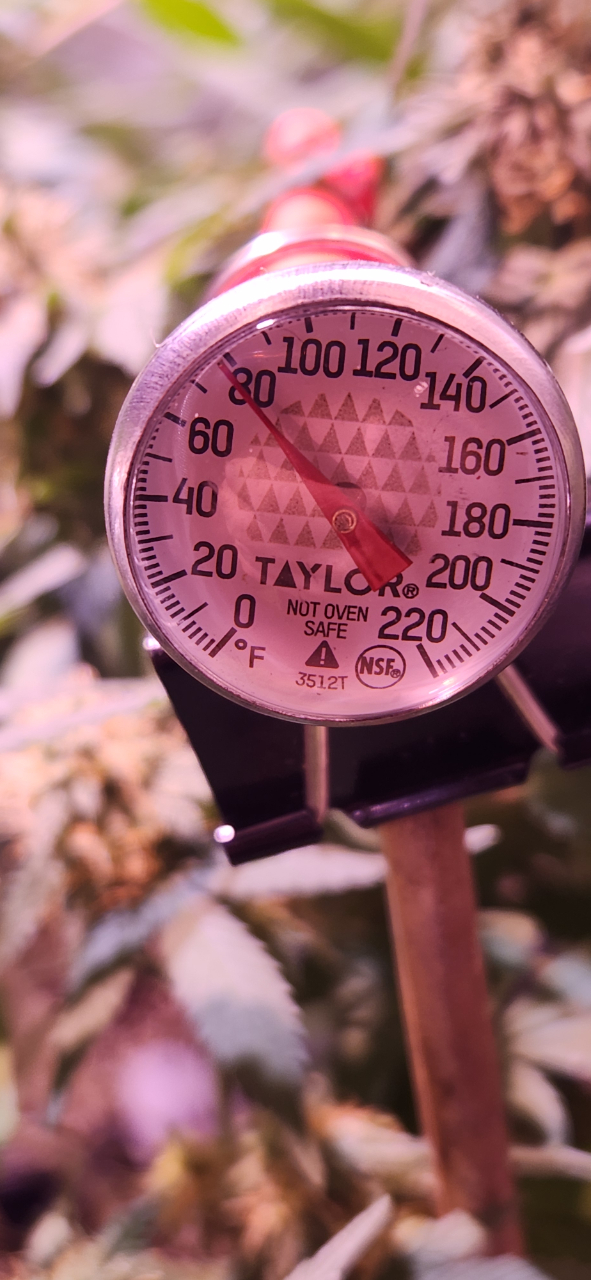 Anbient TEMP in middle