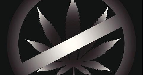 anti-marijuana graphic