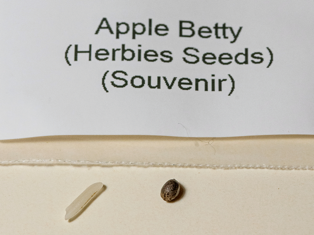 Apple Betty seed.jpg