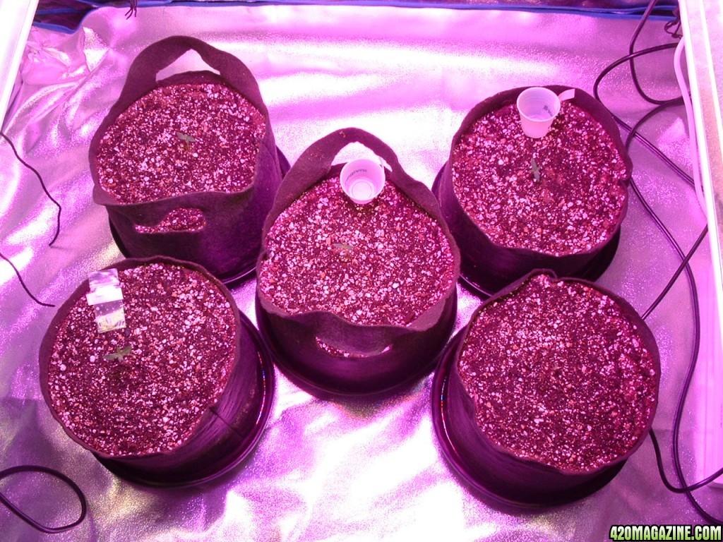 April 2014 Grow