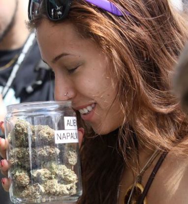 At cannabis cup