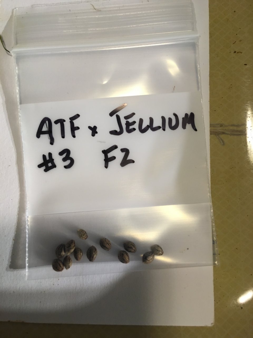 ATF x Jellium