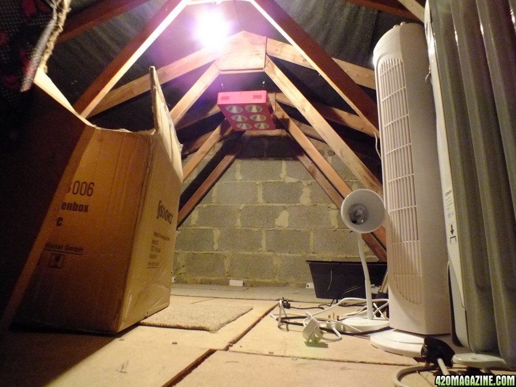 Attic grow room