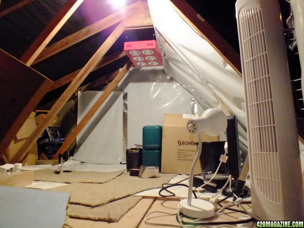 Attic grow room