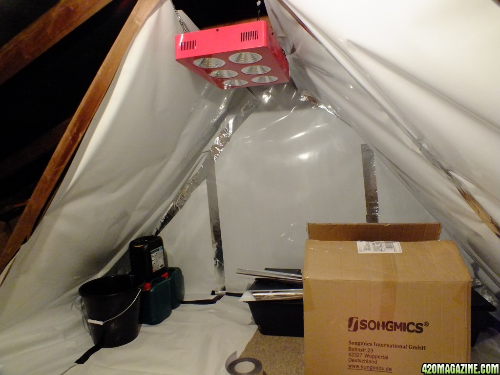 Attic grow room